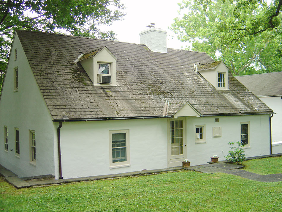 Cottage back- before