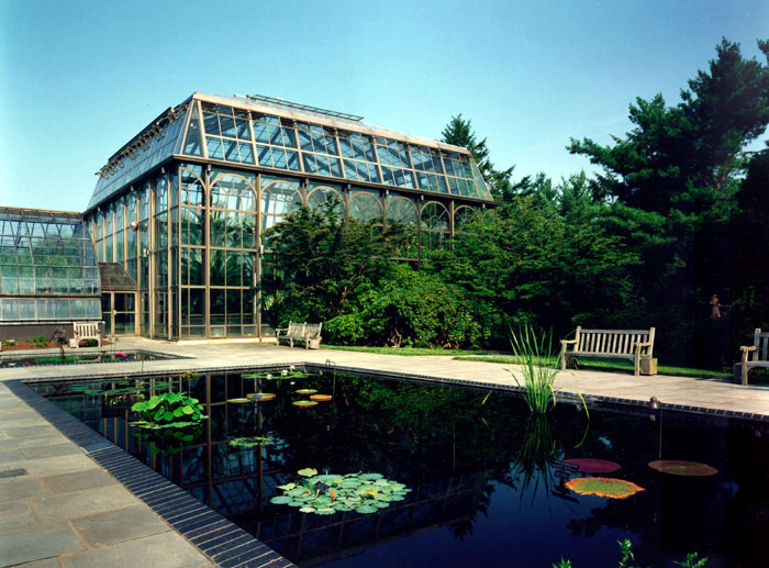 the Palm House at Longwood Gardens