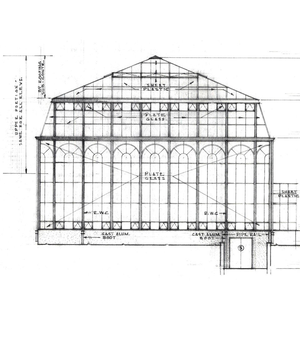 Palm House elevation drawing