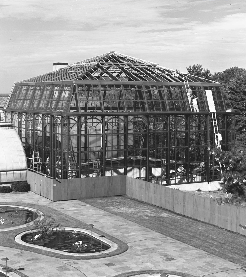 vintage photo of Palm House under construction